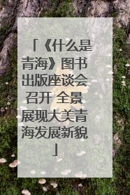 《什么是青海》图书出版座谈会召开 全景展现大美青海发展新貌