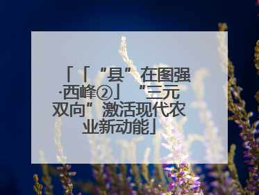 「“县”在图强·西峰②」“三元双向”激活现代农业新动能