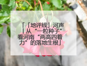 「地评线」河声丨从“一粒种子”看河南“两高四着力”的落地生根