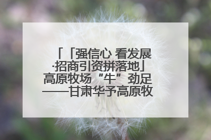 「强信心 看发展·招商引资拼落地」高原牧场“牛”劲足——甘肃华予高原牧场高标准奶牛肉牛养殖项目一线见闻