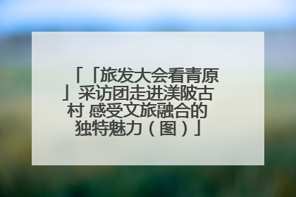 「旅发大会看青原」采访团走进渼陂古村 感受文旅融合的独特魅力（图）