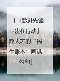 「黔进先锋·贵在行动」赵大志的“民生账本”画满勾勾