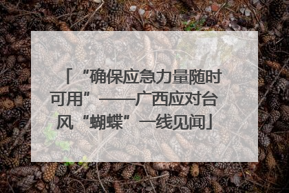 “确保应急力量随时可用”——广西应对台风“蝴蝶”一线见闻