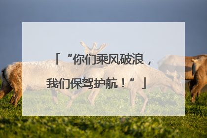 “你们乘风破浪，我们保驾护航！”