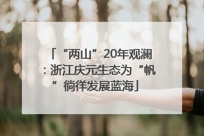 “两山”20年观澜：浙江庆元生态为“帆”徜徉发展蓝海