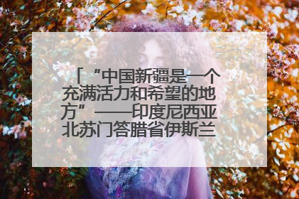 “中国新疆是一个充满活力和希望的地方”——印度尼西亚北苏门答腊省伊斯兰教代表团参访新疆
