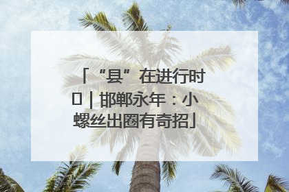 “县”在进行时⑬｜邯郸永年：小螺丝出圈有奇招
