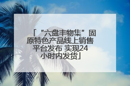 “六盘丰物集”固原特色产品线上销售平台发布 实现24小时内发货