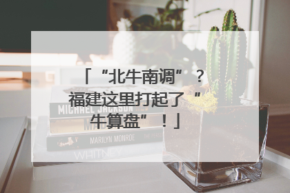 “北牛南调”？福建这里打起了“牛算盘”！