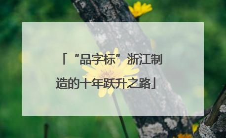 “品字标”浙江制造的十年跃升之路