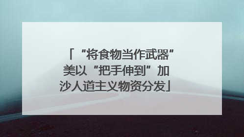 “将食物当作武器” 美以“把手伸到”加沙人道主义物资分发