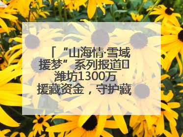 “山海情·雪域援梦”系列报道⑪ 潍坊1300万援藏资金，守护藏区群众健康“最后一公里”
