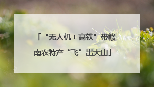 “无人机＋高铁”带赣南农特产“飞”出大山