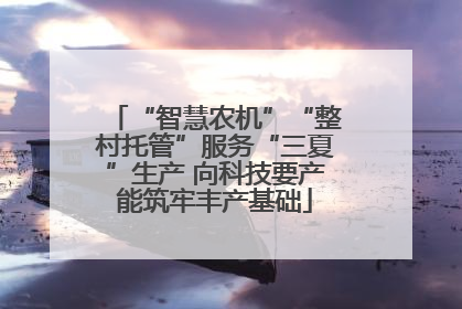 “智慧农机”“整村托管”服务“三夏”生产 向科技要产能筑牢丰产基础