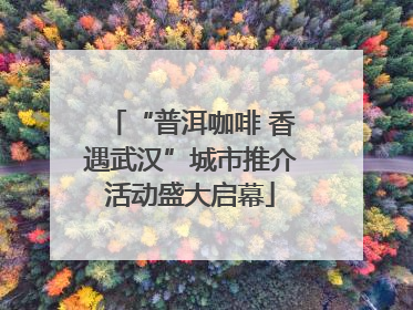 “普洱咖啡 香遇武汉”城市推介活动盛大启幕