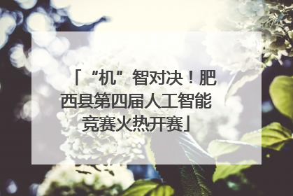 “机”智对决！肥西县第四届人工智能竞赛火热开赛