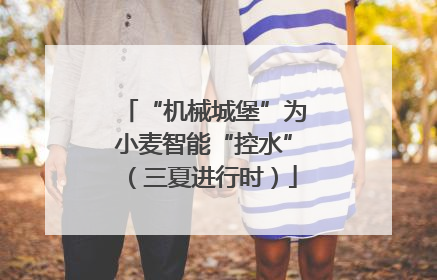 “机械城堡”为小麦智能“控水”（三夏进行时）