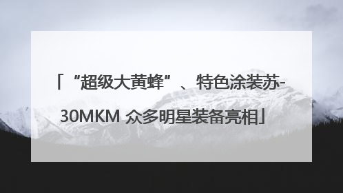 “超级大黄蜂”、特色涂装苏-30MKM 众多明星装备亮相