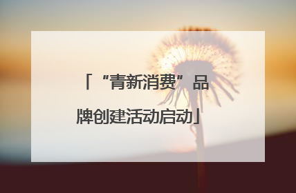 “青新消费”品牌创建活动启动