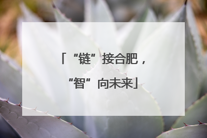 “链”接合肥，“智”向未来