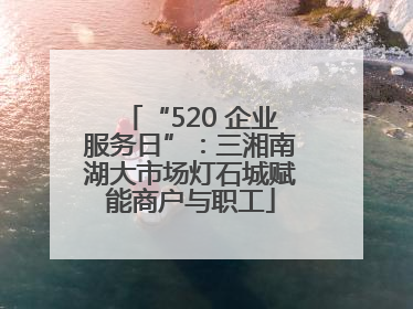 “520 企业服务日”：三湘南湖大市场灯石城赋能商户与职工