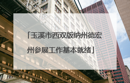 玉溪市西双版纳州德宏州参展工作基本就绪