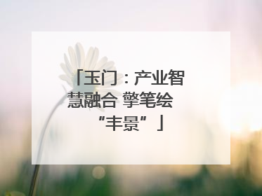 玉门：产业智慧融合 擎笔绘“丰景”