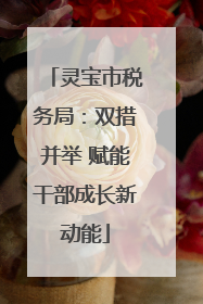 灵宝市税务局：双措并举 赋能干部成长新动能