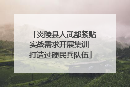 炎陵县人武部紧贴实战需求开展集训 打造过硬民兵队伍