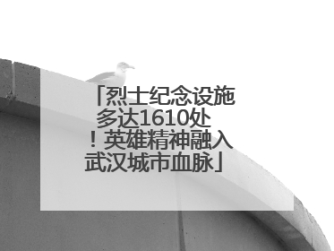 烈士纪念设施多达1610处！英雄精神融入武汉城市血脉