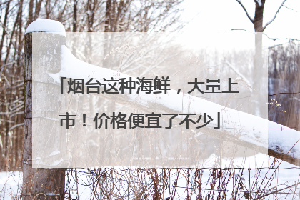 烟台这种海鲜，大量上市！价格便宜了不少