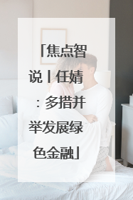 焦点智说丨任婧：多措并举发展绿色金融