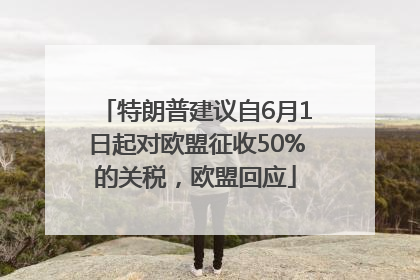 特朗普建议自6月1日起对欧盟征收50%的关税，欧盟回应