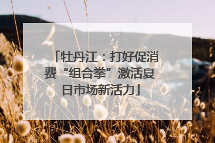 牡丹江：打好促消费“组合拳”激活夏日市场新活力