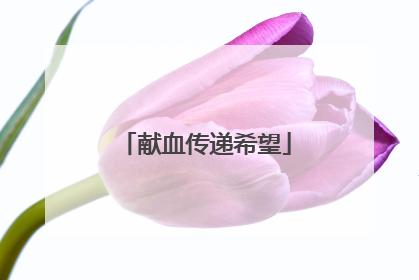 献血传递希望