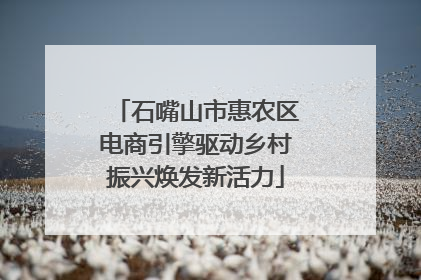 石嘴山市惠农区电商引擎驱动乡村振兴焕发新活力