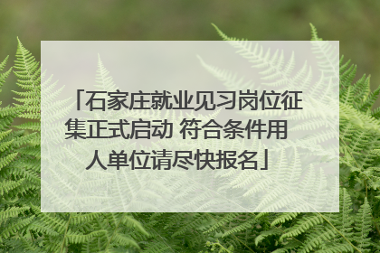 石家庄就业见习岗位征集正式启动 符合条件用人单位请尽快报名