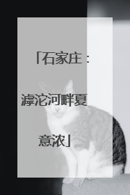 石家庄：滹沱河畔夏意浓