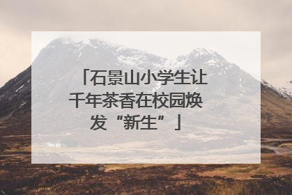 石景山小学生让千年茶香在校园焕发“新生”