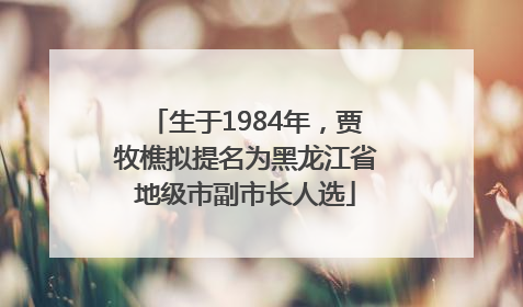 生于1984年，贾牧樵拟提名为黑龙江省地级市副市长人选