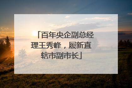 百年央企副总经理王秀峰，履新直辖市副市长
