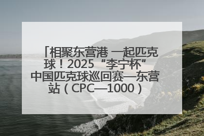相聚东营港 一起匹克球！2025“李宁杯”中国匹克球巡回赛—东营站（CPC—1000）暨“好运山东”黄河口匹克球公开赛落幕