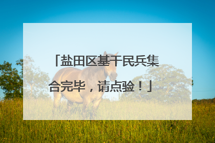 盐田区基干民兵集合完毕，请点验！