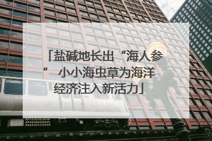 盐碱地长出“海人参” 小小海虫草为海洋经济注入新活力