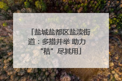盐城盐都区盐渎街道：多措并举 助力“秸”尽其用