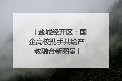 盐城经开区：国企高校携手共绘产教融合新图景