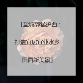 盐城郭猛护西：打造宜居宜业水乡田园新美景