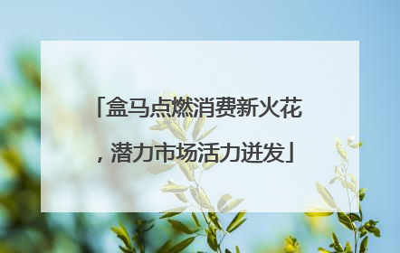 盒马点燃消费新火花，潜力市场活力迸发