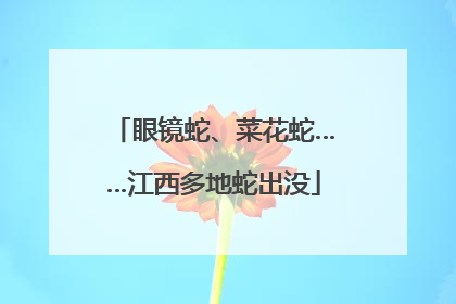 眼镜蛇、菜花蛇……江西多地蛇出没