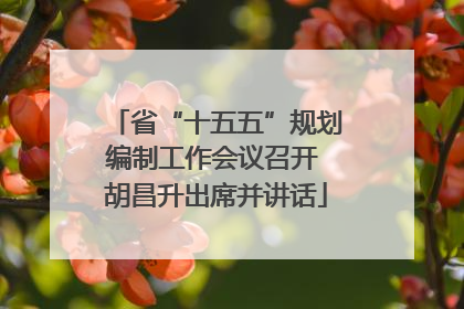 省“十五五”规划编制工作会议召开 胡昌升出席并讲话